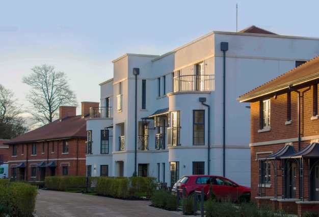 REDWOOD BLOG 4 - jpeg